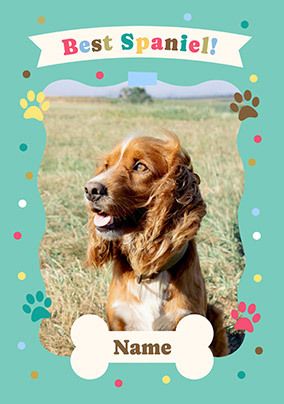 Photo of Best Spaniel Birthday Card