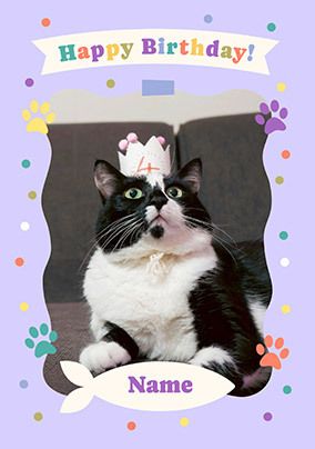 Photo of To The Cat Birthday Card