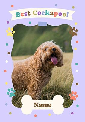 Photo of Best Cockapoo Birthday Card