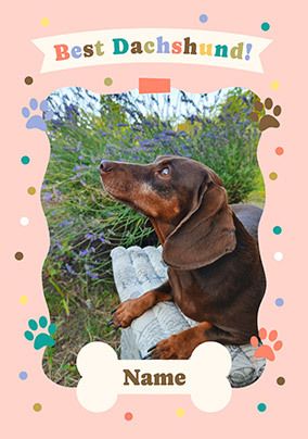 Photo of Best Dachshund Birthday Card