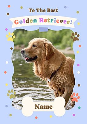 Photo of Best Golden Retriever Birthday Card