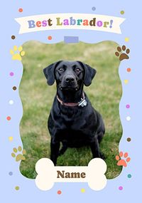 Tap to view Best Labrador Birthday Card