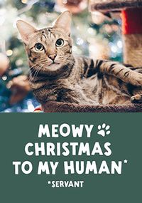 Tap to view Meowy Christmas Photo Card