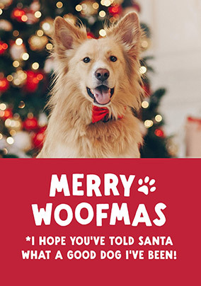 Merry Woofmas Christmas Photo  Card