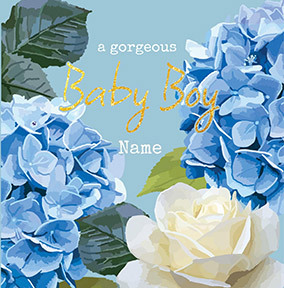 Gorgeous Baby Boy Personalised Card