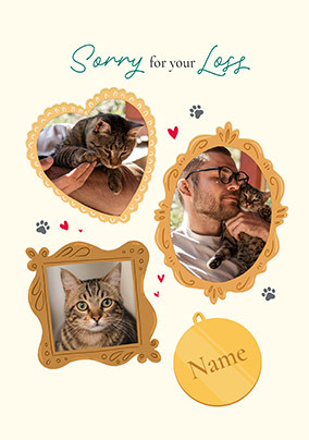 Sorry For Your Loss Photo Frames Cat Sympathy Card
