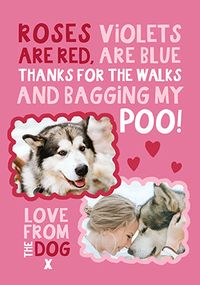 Love from the Dog Funny Valentine's Day Photo Card