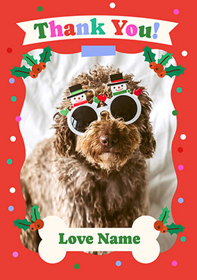Photo Xmas Thank You Card from the Dog