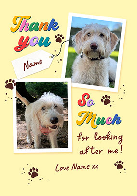 card image