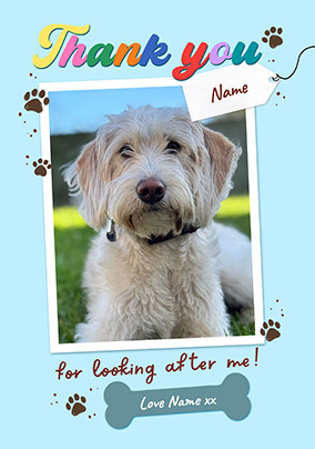 Thank You For Looking After Me Dog Photo Card