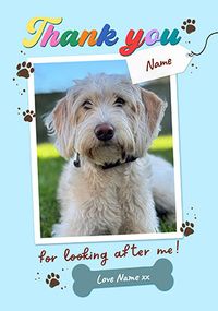 Tap to view Thank You For Looking After Me Dog Photo Card