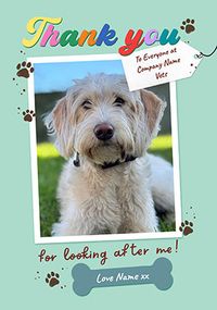 Tap to view Thank You Vets Dog Photo Card