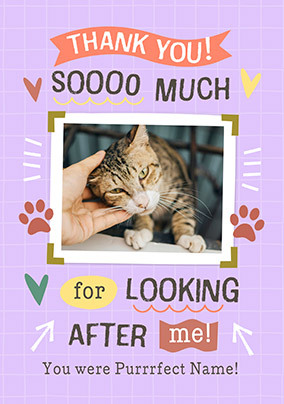 Thank You For Looking After Me Photo Card From The Cat