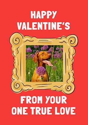 From Your One True Love Photo Valentine's Day Card