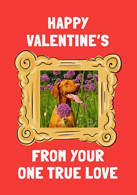 From Your One True Love Photo Valentine's Day Card