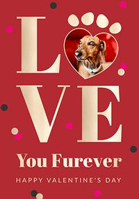 Love You Furever Photo Valentine's Day Card