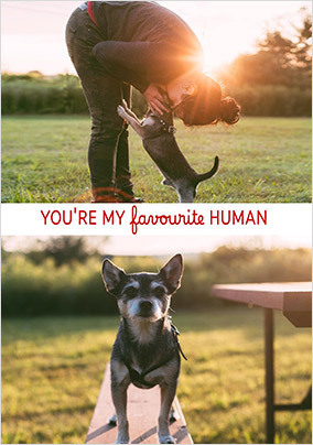 Favourite Human 2 Photo Valentine's Day Card