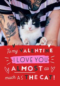 Tap to view Love you almost as much as the Cat Valentine's Day Card