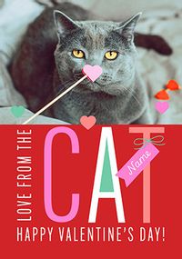 Tap to view Happy Valentine's Day from the Cat Valentine's Day Card