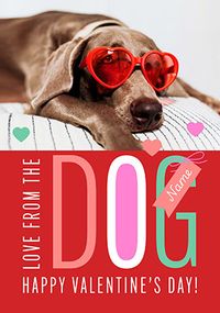 Tap to view Happy Valentine's Day from the Dog Valentine's Day Card
