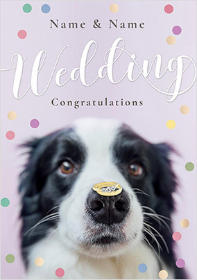 Wedding Congrats Dog Personalised Card