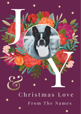 Joy From the Family Photo Christmas Card