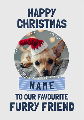 Furry Friend Snow Globe Photo Christmas Card