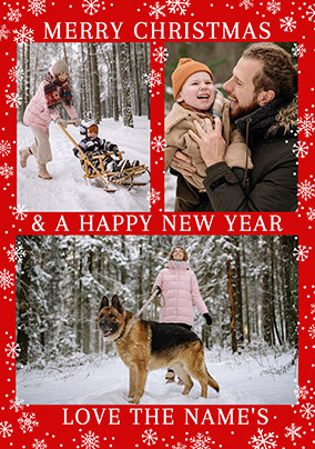 Snowflakes 3 Photo from the Family Christmas Card