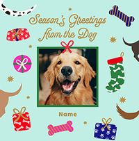 Tap to view Season's Greetings from the Dog Square Christmas Card