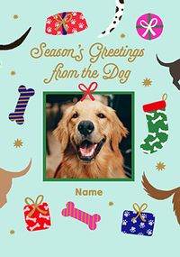 Tap to view Season's Greetings from the Dog Photo Christmas Card