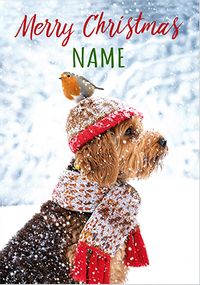 Tap to view Photographic Dog and Robin Christmas Card