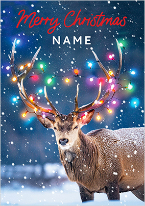 Photographic Reindeer Personalised Christmas Card