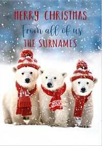 Tap to view Photographic Polar Bears From All of Us Christmas Card