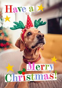 Tap to view Colourful Full Photo Portrait Christmas Card