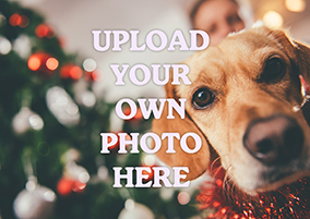 Full Landscape Photo Christmas Card