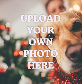 Square Full Photo Christmas Card