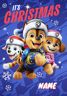 Paw Patrol It's Christmas Card