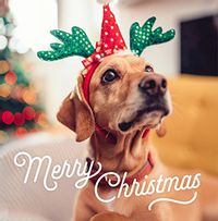 Tap to view Just My Type Square Photo Christmas Card