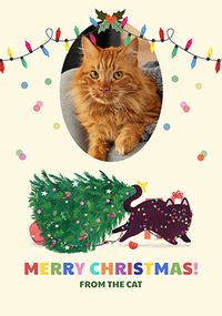 Tap to view From The Cat Christmas Lights Photo Card