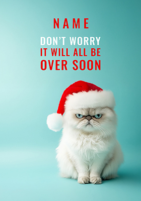 Grumpy Christmas Cat Personalised Card