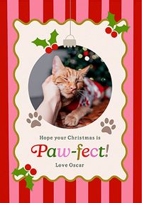 Tap to view Kitsch Pink Stripe Pawfect Christmas Photo Card