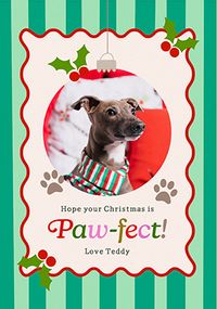 Tap to view Kitsch Green Stripe Pawfect Christmas Photo Card