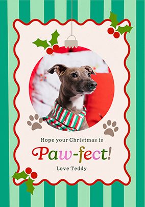 Photo of Kitsch Green Stripe Pawfect Christmas Photo Card