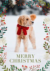Tap to view Winter Berries Merry Christmas Photo Card