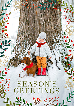 Winter Berries Season Greetings Photo Card