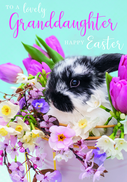Easter Cute Bunny Card