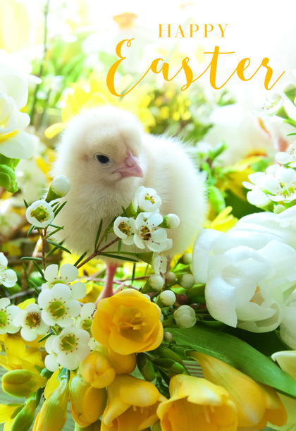 Happy Easter Cute Chick Card