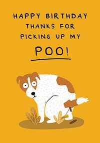 Thanks for Picking up my Poo from the Dog Birthday Card