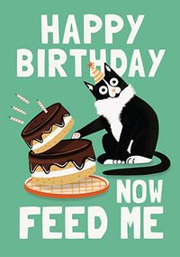Birthday Cake from the Cat Birthday Card