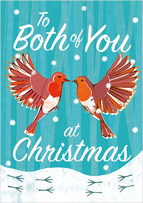 Both Of You Robins Christmas card